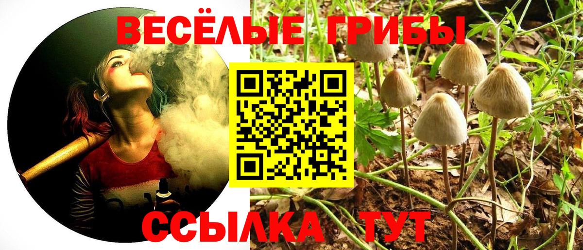 Псилоцибиновые грибы Psilocybe  Вход с VPN  Донецк 